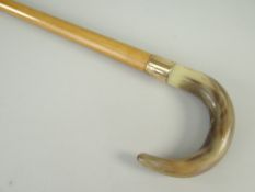 VINTAGE MAPLE WOOD WALKING STICK, engraved gold ferrule and curved horn handle