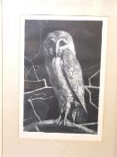 JOHN ROBERTS artist's proof aquatint etching - a perched brown owl, signed, 36 x 25cms