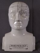 PHRENOLOGY (A STUDY OF THE MIND) PORCELAIN BUST