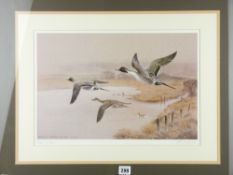 PHILIP SNOW coloured limited edition print (42/750) - 'Pintails at Maltraeth', signed, 30 x 43cms