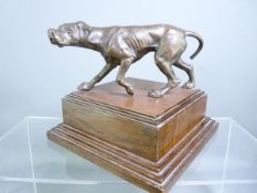 20TH CENTURY BRONZE MODEL OF A HOUND, mounted upon a square stepped oak base, 14cms H, 16.5cms W