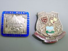 TWO SILVER & ENAMEL BADGES, Llandudno General Hospital 'Service above self', 20.5grms and Olive