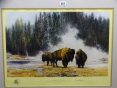 DAVID SHEPHERD limited edition print - 'The Hot Springs of Yellowstone', signed in pencil, 42 x