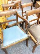 FIVE REGENCY MAHOGANY (4 + 1) SABRE LEG DINING CHAIRS with reeded decoration and curved back rails