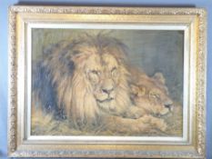 AFTER GEZA VASTAGH, Pears print of lions, 47 x 67cms