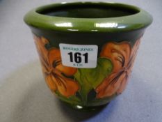 MOORCROFT - Hibiscus Green planter, 12cms H