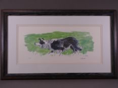 SIR KYFFIN WILLIAMS RA artists proof numbered 9 - a working sheepdog, 24 x 54.5cms, printed