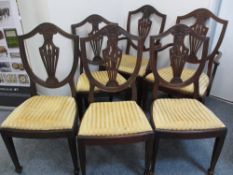 HEPPLEWHITE STYLE MAHOGANY DINING CHAIRS, set of 6 (4 + 2) with stripe upholstered drop-in seat