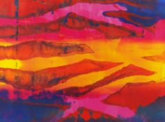 SUZANNE BROOKER watercolour - entitled 'Shocking Pink', signed, 38 x 29cms