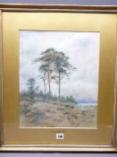 HENRY MEASHAM watercolour - entitled 'Breezy Hatchmere, Cheshire', signed, 40 x 33cms