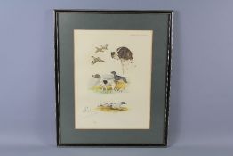 A Signed Boris Riab Aquatint Etching of an English Pointer