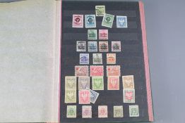 Poland in Schaubek Hingeless Album + Three Stock Books