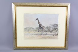 Hamish Grant (1937 - 2013) Pastel