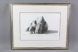 Gary Hodges Wildlife Artist (1954- ) Limited Edition Print