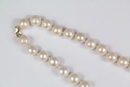 Fresh Water Pearl Necklaces