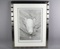 Gary Hodges Wildlife Artist (1954- ) Print