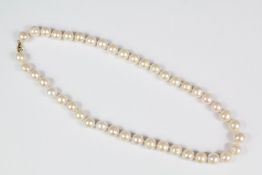 Fresh Water Pearl Necklace