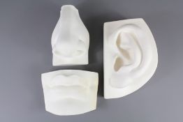 A Plaster Cast of David's Nose, Ear and Mouth