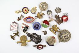 Miscellaneous Military and Nursing Badges