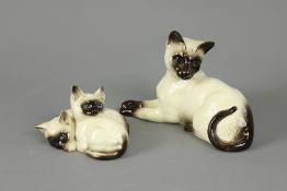 A Royal Doulton Porcelain Siamese Cats