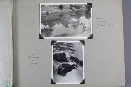 Early 20th Century Photograph Album