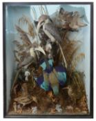 Taxidermy: A Victorian case of five birds