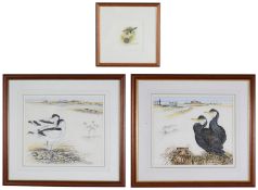 Ian Bowles (Brit., 1946-2018) 'Cormorants-The Estuary', signed; others