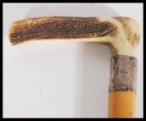 A silver banded hallmarked walking cane, antler handle surmounting a Malacca shaft, the silver