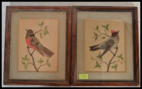 Two 19th Century Victorian feathered pictures of birds featuring hand painted water colour details