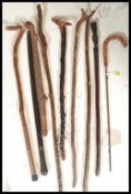 A collection of walking sticks to include blackthorn, rosewood and faux ivory etc, some with