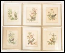 A collection of six vintage 20th Century framed bird prints each showing different species of bird