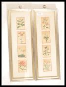 A collection of framed 19th Century horticultural plant engravings / etchings all being annotated