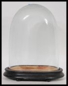 A 20th Century glass dome cloche on an ebonised wooden pedestal base. Measures 27cm high by 20cm
