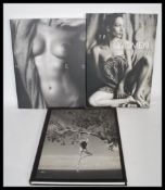 Three nude art photography / photographic books comprising of Nudes Martin Pedersen Graphic Press