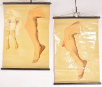 EARLY 20TH CENTURY RUDDIMAN JOHNSTON & CO LTD ANAT