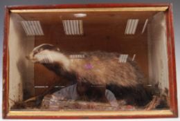 EARLY 20TH CENTURY ANTIQUE VINTAGE TAXIDERMY YOUNG