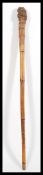 A 19th Century Victorian bamboo root walking stick cane having a tapering bamboo shaft with large