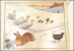 A collection of mid century retro school posters from the Blyton Nature Print series. Plates 1 -60