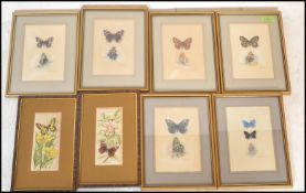 A collection of 6 detailed gouache painting /  studies of butterflies signed to the bottom right ADA