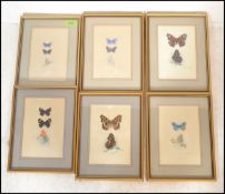A collection of 6 detailed gouache painting /  studies of butterflies signed to the bottom right ADA