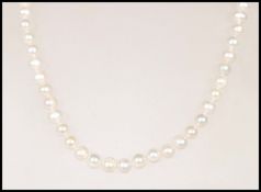 A row of cultured pearls ( Pearl necklace )  compl