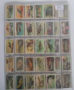 A collection of vintage Gallaher's cigarette / trade cards to include three full wild life related