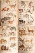 MACGILLIVRAY WILLIAM 19TH CENTURY NATURAL HISTORY SCIENCE BOOK