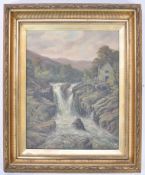 ENGLISH SCHOOL 19TH CENTURY OIL ON CANVAS WATERFALL STUDY