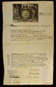 Very Early Sun Insurance Policy By 
