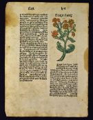 A Leaf From What Is Probably One Of The Earliest Printed Natural History Books 1489 - A sample of an