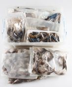 Good assortment of fly tying feathers, capes, furs et al - an packets including teal, guinea fowl,
