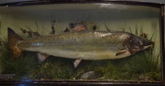 Williams Dublin Cased Salmon: internal plaque inscribed 