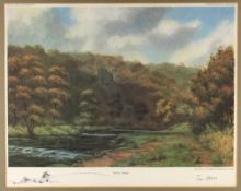 Tim Havers signed ltd ed large coloured fishing print - titled 