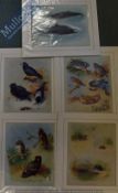 A Thornburn - Prints Featuring Birds, Dolphins etc mounted ready for framing 40 x 35cm (5)